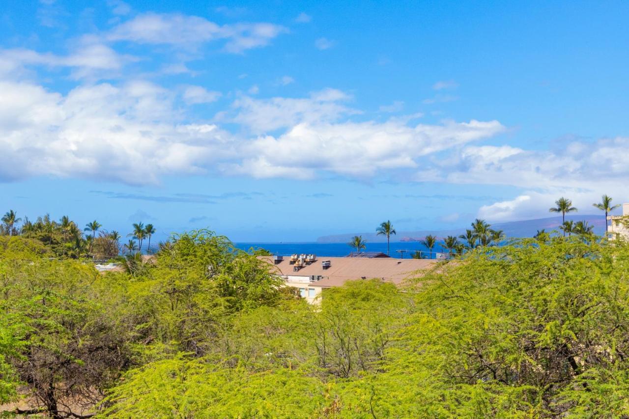Ocean View Unit At Alii Kai Close To Apartment *